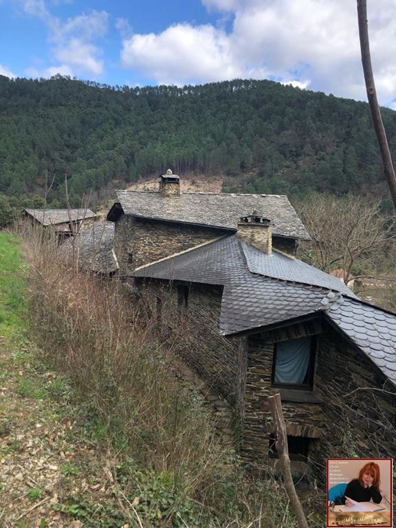 Achat Maison en pierre Sainte Croix Vallée Française